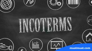 Fakta Penting Tentang Incoterm