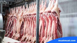 Penerapan Cold Storage dalam Berbagai Industri