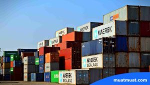 Mengapa Ukuran Container Penting?