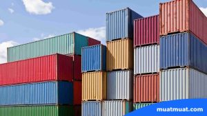 Tips Memilih Ukuran Container