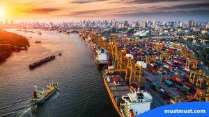 Tips dan Strategi Efektif untuk Menghindari Biaya Demurrage