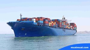 Apa Itu Freighter?