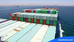 Proses Kerja Freighter dalam Ekosistem Logistik