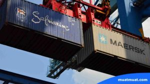 Komponen Penting dalam EIR Container