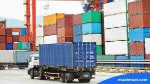 Jenis-Jenis Polis Asuransi Cargo Darat