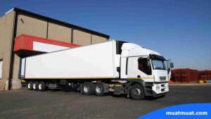 Industri yang Sangat Bergantung pada Cold Chain Logistik