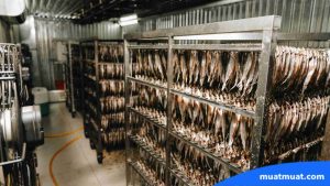 Apa Itu Dry Storage pada Logistik