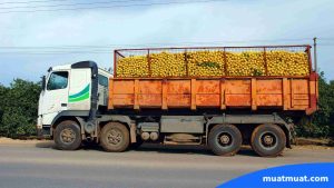 Kelebihan Menggunakan Full Truck Load
