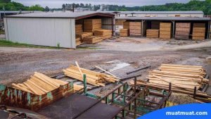 Mengapa Penting Memahami Perbedaan Logistik dan Supply Chain?