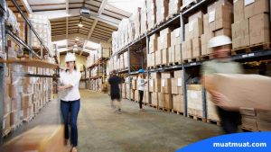 Fungsi Wholesaler dalam Rantai Distribusi