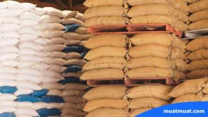 Perbedaan Wholesaler dan Retailer