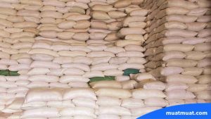 Contoh Wholesaler di Indonesia