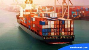 Apa Itu Freight Out