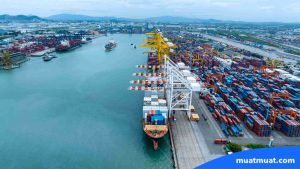 FAQ Seputar Freight Out