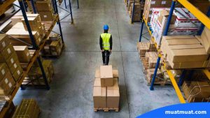 Pentingnya Struktur Warehouse dalam Operasional Gudang