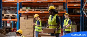 Faktor yang Mempengaruhi Pemilihan Jenis Manajemen Persediaan